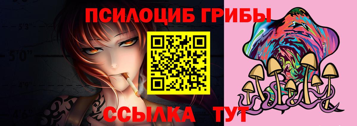 Псилоцибиновые грибы Psilocybe Кулебаки