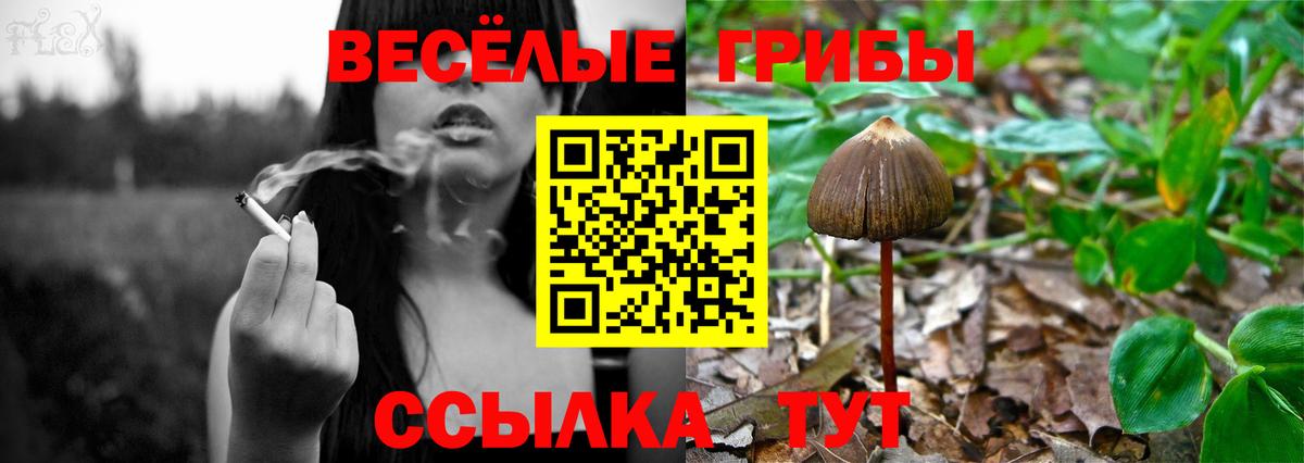 Галлюциногенные грибы мицелий  Вход с VPN  Кулебаки 